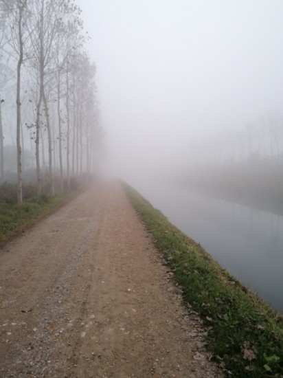 nebbia leggera