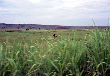 Angola